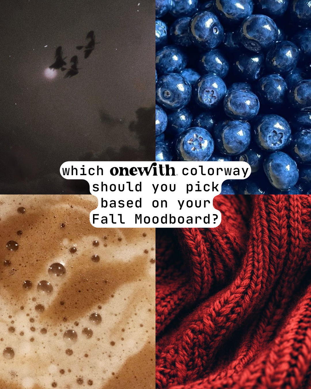 Collage: birds, blueberries, coffee foam, red knit; text: which onewith colorway should you pick based on your Fall Moodboard?