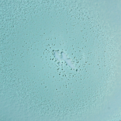 Teal circular textured surface with a subtle central depression and scattered small dark specks