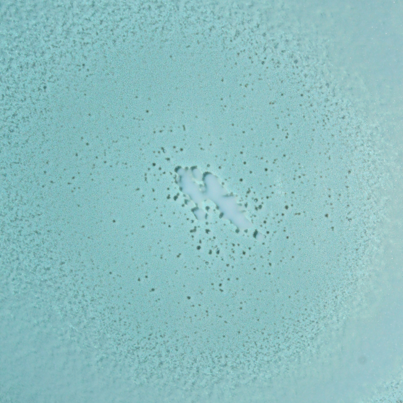 Teal circular textured surface with a subtle central depression and scattered small dark specks